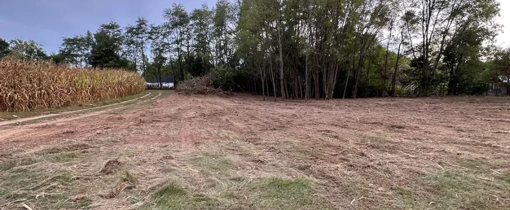 Land Clearing Timeline: How Long Will Your Project Take? 9 land clearing for jackson county mi properties