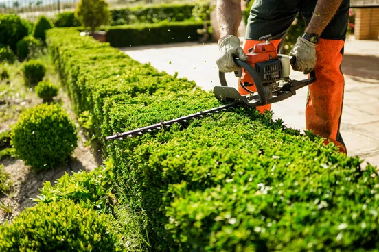 brush hogging services in south central mi