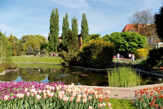 settlement ponds installers in south central mi