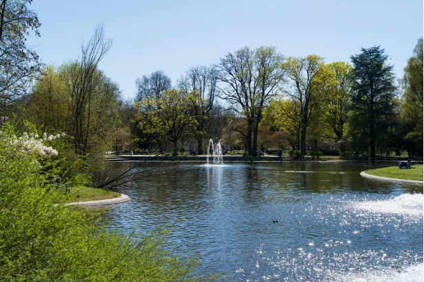 stock ponds installers in south central mi