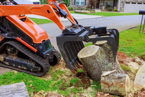 stump removal services in south central mi