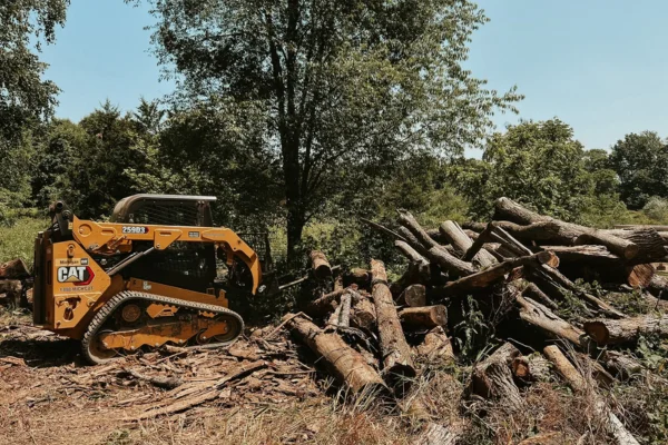 forestry mulching chelsea mi