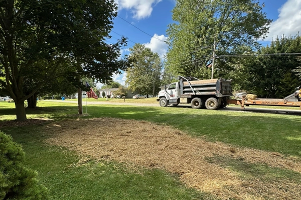 professional land clearing williamston mi